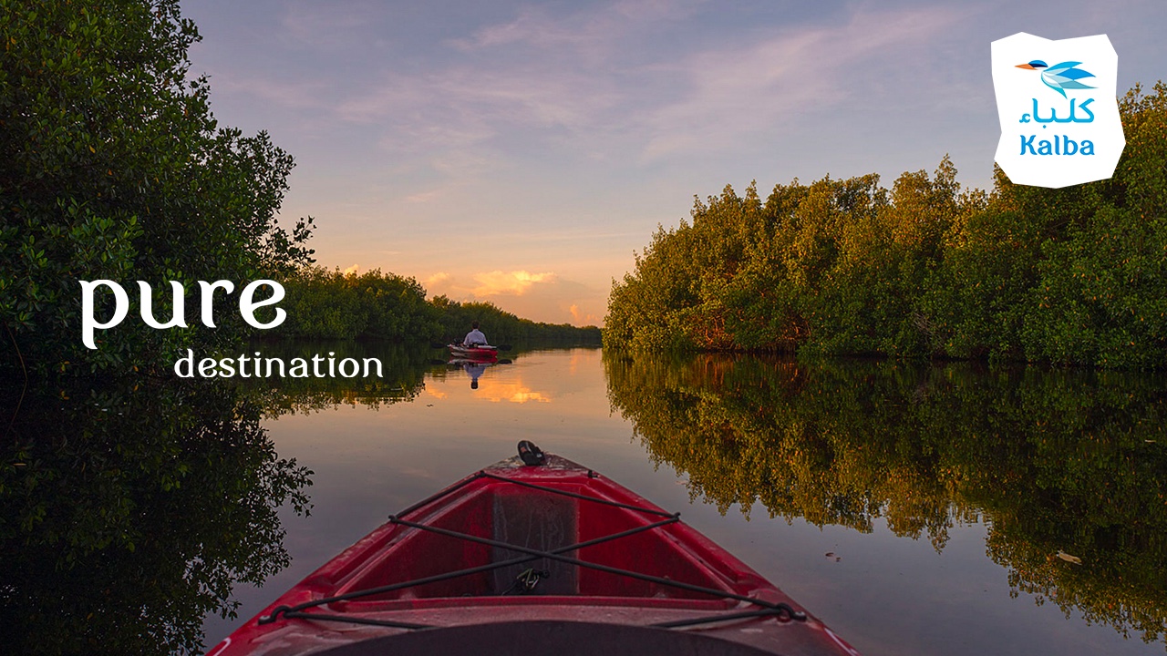 Increasing Footfall, Naturally, Shurooq Case Study