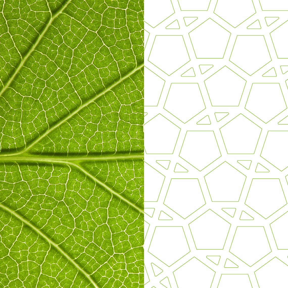 examples of visual identity for Ursa Health that represented their living data model, visually inspired by the organic nature of their approach to data analytics