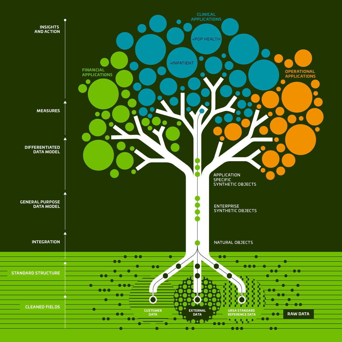 Example of an infographic developed for Ursa Health.
