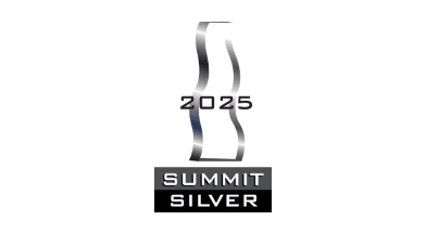 Logo with a silver, wavy vertical line, the text "2025" in the center, and "SUMMIT SILVER" in bold letters at the bottom.